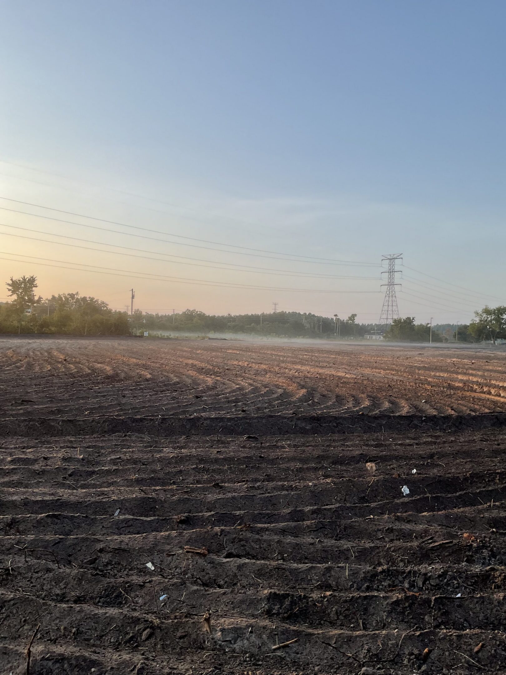 Plowed field at sunrise with transmission tower